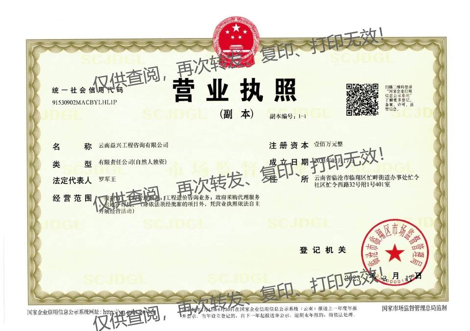 总公司营业执照